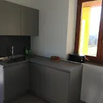 Bel Salino