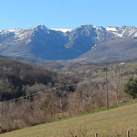 Bel Salino *